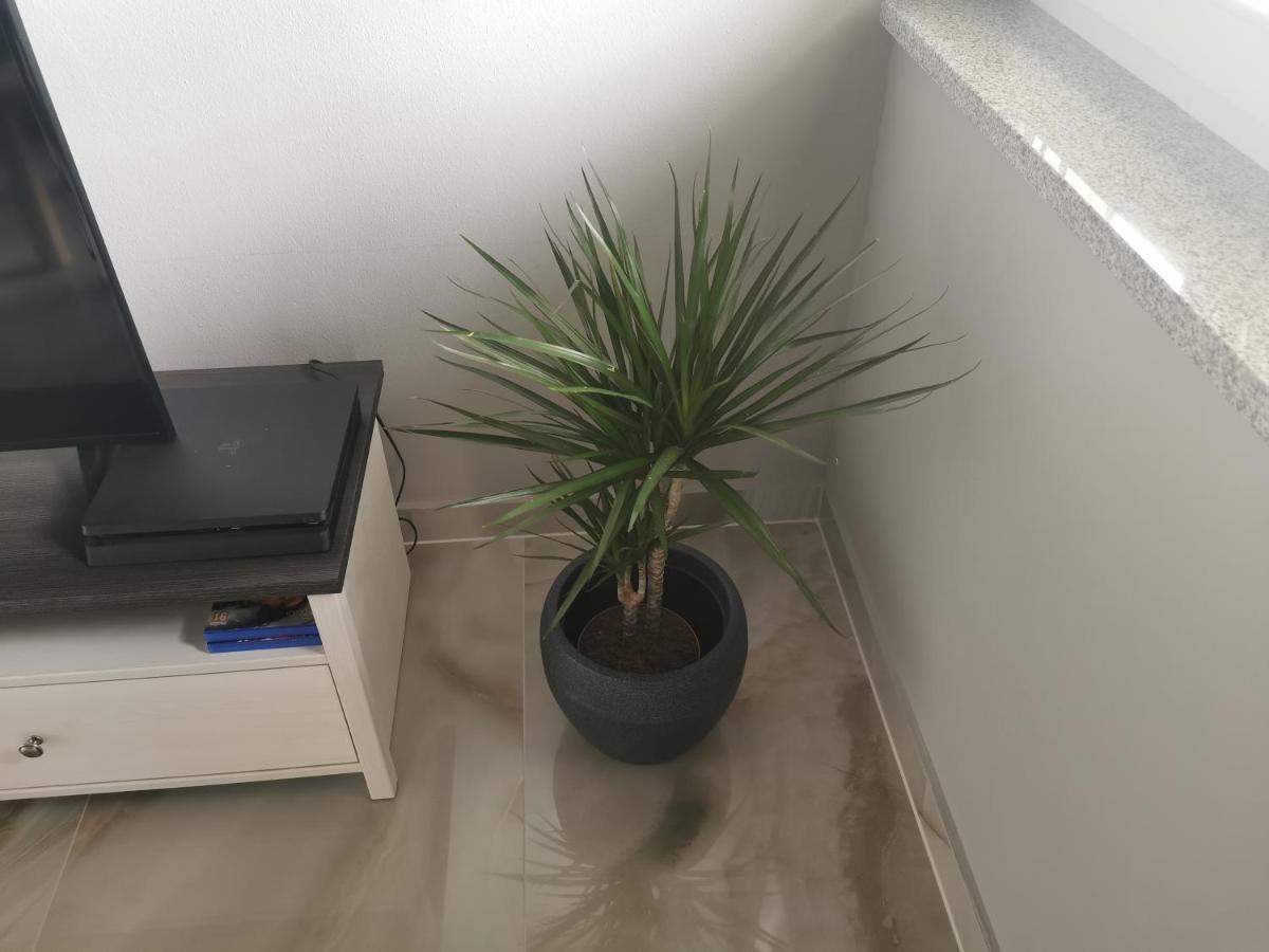 Apartment Luki โปวิเล ภายนอก รูปภาพ